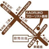 ACCESS MAP